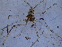  ( - SNU453)  @12 [ ] CreativeCommons - Attribution Share-Alike (2015) Unspecified Seoul National Uiversity