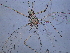  ( - SNU456)  @12 [ ] CreativeCommons - Attribution Share-Alike (2015) Unspecified Seoul National Uiversity