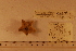  ( - 06_399_D)  @11 [ ] CreativeCommons - Attribution Non-Commercial Share-Alike (2012) CreativeCommons - Attribution Non-Commercial Share-Alike MNHN