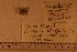  ( - 06_423_A)  @11 [ ] CreativeCommons - Attribution Non-Commercial Share-Alike (2012) CreativeCommons - Attribution Non-Commercial Share-Alike MNHN
