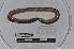  ( - EW-TH14-0002)  @11 [ ] CreativeCommons - Attribution Non-Commercial Share-Alike (2015) T. Decaens Universite Montpellier, CEFE Lab
