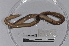  ( - EW-TH14-0003)  @11 [ ] CreativeCommons - Attribution Non-Commercial Share-Alike (2015) T. Decaens Universite Montpellier, CEFE Lab