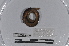 ( - EW-TH14-0005)  @11 [ ] CreativeCommons - Attribution Non-Commercial Share-Alike (2015) T. Decaens Universite Montpellier, CEFE Lab
