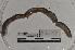  ( - EW-TH14-0041)  @11 [ ] CreativeCommons - Attribution Non-Commercial Share-Alike (2015) T. Decaens Universite Montpellier, CEFE Lab