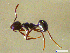  ( - CCO-TH 13 F1 1S)  @13 [ ] CreativeCommons - Attribution Non-Commercial Share-Alike (2015) P. Heepngoen LMI LUSE