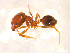  ( - CCO-TH 171 F3 2S)  @12 [ ] CreativeCommons - Attribution Non-Commercial Share-Alike (2015) P. Heepngoen LMI LUSE