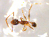  ( - CCO-TH 177 F3 2S)  @12 [ ] CreativeCommons - Attribution Non-Commercial Share-Alike (2015) P. Heepngoen LMI LUSE