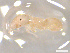  ( - CCO-TH 178 F3 2S)  @12 [ ] CreativeCommons - Attribution Non-Commercial Share-Alike (2015) P. Heepngoen LMI LUSE