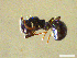  ( - CCO-TH 86 F2 2S)  @13 [ ] CreativeCommons - Attribution Non-Commercial Share-Alike (2015) P. Heepngoen LMI LUSE