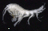  (Oedicerotidae_AJ sp. 26 - SB_1-9S_Oedi26_2015_1)  @11 [ ] CreativeCommons  Attribution Non-Commercial Share-Alike (2021) Anna Jazdzewska University of Lodz, Dept of Invertebrate Zoology and Hydrobiology