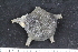  ( - ZMBN_138679)  @11 [ ] Creative Commons BY NC SA (2021) University of Bergen Natural History Collections