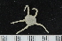  ( - ZMBN_138718)  @11 [ ] Creative Commons BY NC SA (2021) University of Bergen Natural History Collections