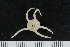 ( - ZMBN_138718)  @11 [ ] Creative Commons BY NC SA (2021) University of Bergen Natural History Collections
