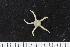  ( - ZMBN_138721)  @11 [ ] Creative Commons BY NC SA (2021) University of Bergen Natural History Collections