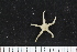  ( - ZMBN_138721)  @11 [ ] Creative Commons BY NC SA (2021) University of Bergen Natural History Collections