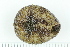  ( - ZMBN_138773)  @11 [ ] Creative Commons BY NC SA (2021) University of Bergen Natural History Collections