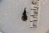  ( - SYMVE000413)  @12 [ ] Unspecified (default): All Rights Reserved  Unspecified Unspecified