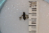  ( - SYMVE000418)  @11 [ ] Unspecified (default): All Rights Reserved  Unspecified Unspecified