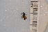  ( - SYMVE000424)  @12 [ ] Unspecified (default): All Rights Reserved  Unspecified Unspecified