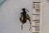  ( - SYMVE000433)  @13 [ ] Unspecified (default): All Rights Reserved  Unspecified Unspecified