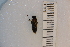  ( - SYMVE000441)  @11 [ ] Unspecified (default): All Rights Reserved  Unspecified Unspecified
