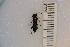  ( - SYMVE000442)  @12 [ ] Unspecified (default): All Rights Reserved  Unspecified Unspecified