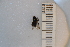  ( - SYMVE000457)  @12 [ ] Unspecified (default): All Rights Reserved  Unspecified Unspecified