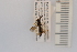  ( - SYMVE000482)  @12 [ ] Unspecified (default): All Rights Reserved  Unspecified Unspecified