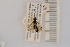  ( - SYMVE000483)  @12 [ ] Unspecified (default): All Rights Reserved  Unspecified Unspecified