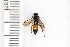 ( - SYMVE000491)  @12 [ ] Unspecified (default): All Rights Reserved  Unspecified Unspecified