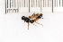  ( - SYMVE000513)  @12 [ ] Unspecified (default): All Rights Reserved  Unspecified Unspecified