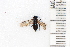  ( - SYMVE000521)  @12 [ ] Unspecified (default): All Rights Reserved  Unspecified Unspecified