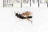  ( - SYMVE000525)  @12 [ ] Unspecified (default): All Rights Reserved  Unspecified Unspecified