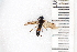 ( - SYMVE000537)  @13 [ ] Unspecified (default): All Rights Reserved  Unspecified Unspecified
