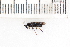  ( - SYMVE000552)  @13 [ ] Unspecified (default): All Rights Reserved  Unspecified Unspecified