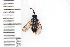  ( - SYMVE000571)  @12 [ ] Unspecified (default): All Rights Reserved  Unspecified Unspecified