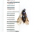  ( - SYMVE000573)  @12 [ ] Unspecified (default): All Rights Reserved  Unspecified Unspecified