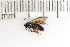  ( - SYMVE000574)  @12 [ ] Unspecified (default): All Rights Reserved  Unspecified Unspecified