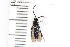  ( - SYMVE000576)  @13 [ ] Unspecified (default): All Rights Reserved  Unspecified Unspecified
