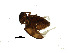  ( - CWDHS23)  @12 [ ] Unspecified (default): All Rights Reserved  Unspecified Unspecified