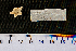  ( - JR15005_2130-6)  @11 [ ] CreativeCommons - Attribution Non-Commercial No Derivatives (2017) Unspecified Université Libre de Bruxelles (ULB)