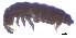  ( - SOS_COLLEMBOLA_028)  @11 [ ] by (2013) Cornelya Klutsch Norwegian Institute of Bioeconomy Research (NIBIO)