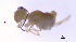  ( - SOS_COLLEMBOLA_400)  @11 [ ] Unspecified (default): All Rights Reserved  Unspecified Unspecified