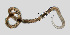  ( - NEMA-40988-B10)  @11 [ ] by-nc (2023) Oleksandr Holovachov Swedish Museum of Natural History
