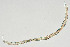  ( - NEMA-40991-B9)  @11 [ ] by-nc (2024) Oleksandr Holovachov Swedish Museum of Natural History