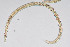  ( - NEMA-40991-H4)  @11 [ ] by-nc (2024) Oleksandr Holovachov Swedish Museum of Natural History
