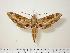  ( - BC-Hax1102.1)  @14 [ ] Copyright (2010) Unspecified Research Collection of Jean Haxaire