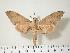  ( - BC-Hax3775.1)  @14 [ ] Copyright (2010) Unspecified Research Collection of Jean Haxaire