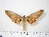  ( - BC-Hax0001)  @13 [ ] Copyright (2010) Unspecified Research Collection of Jean Haxaire
