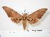  ( - BC-Hax0157)  @12 [ ] Copyright (2010) Unspecified Research Collection of Jean Haxaire